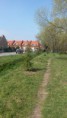 /album/fotogaleria-vysadba-stromcekov/a20160402-113939-jpg1/